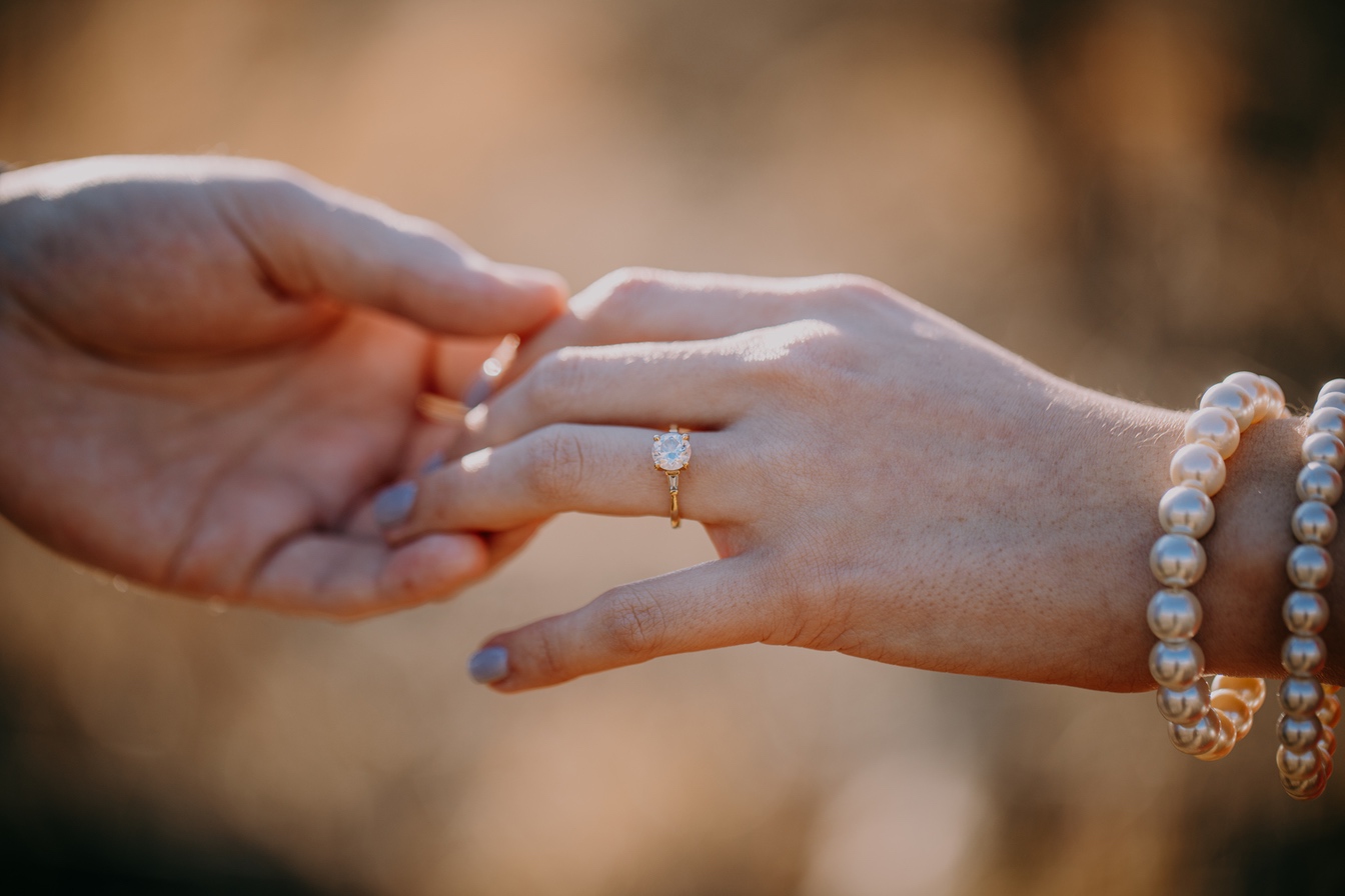 Casey & Alegría Engagement Photo