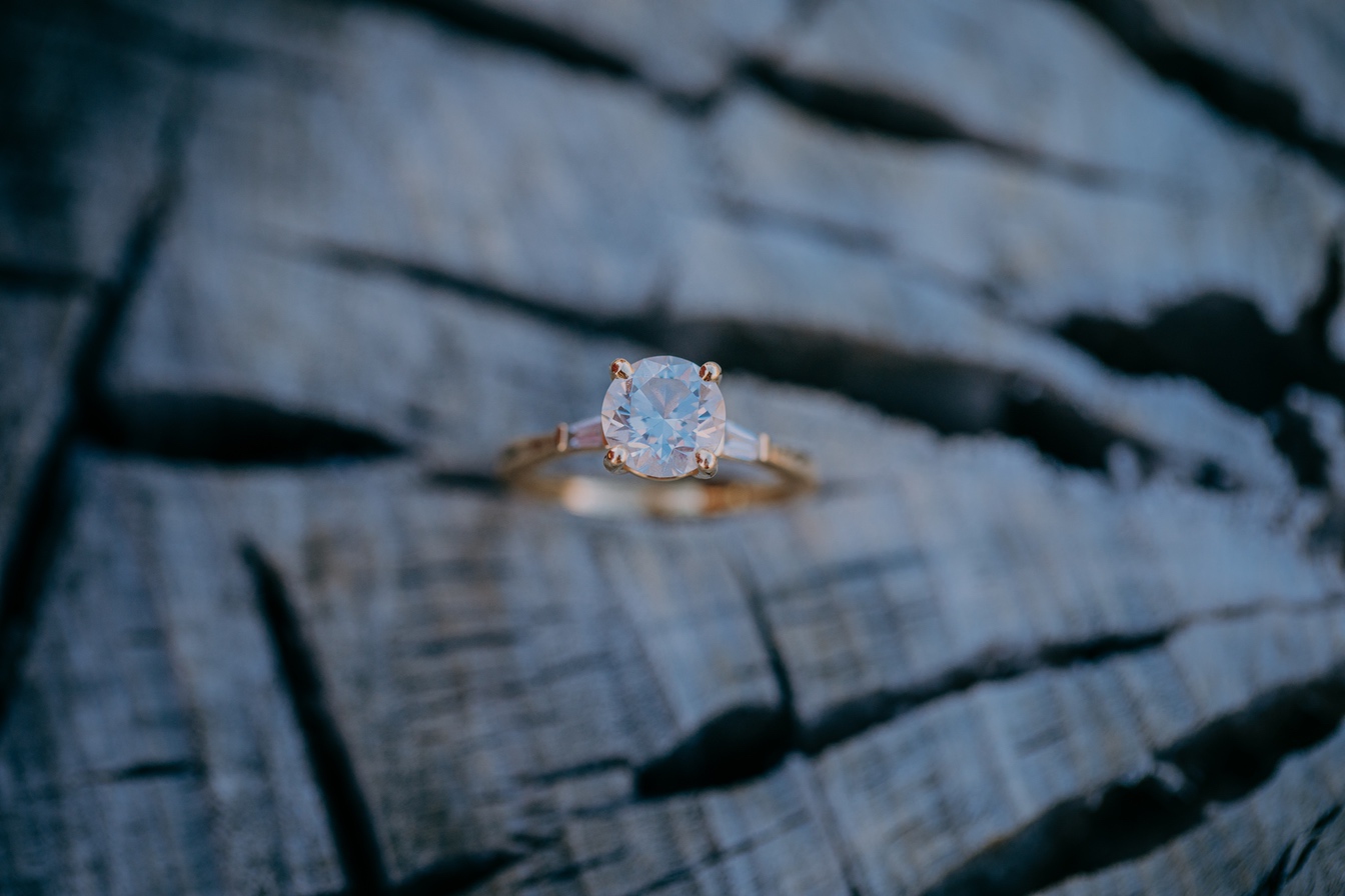 Casey & Alegría Engagement Photo